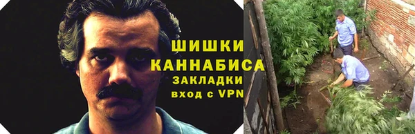 круглые Вяземский
