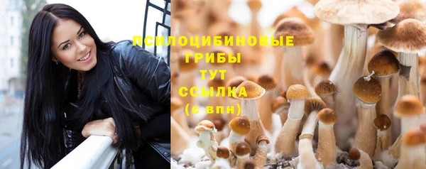 скорость Вязьма