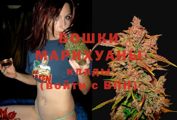 круглые Вяземский