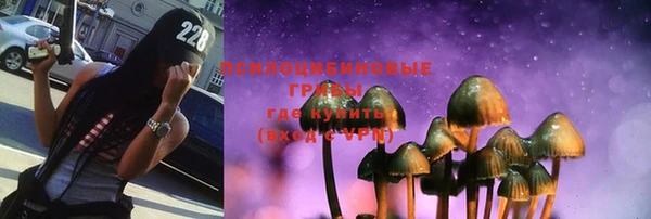 круглые Вяземский