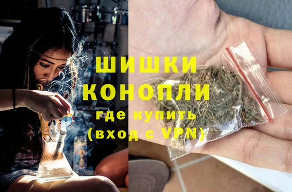сатива Вязники