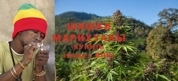 сатива Вязники