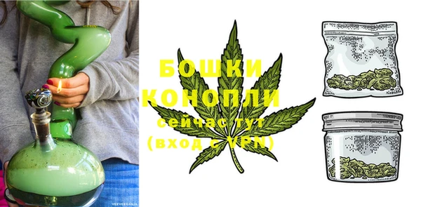 сатива Вязники