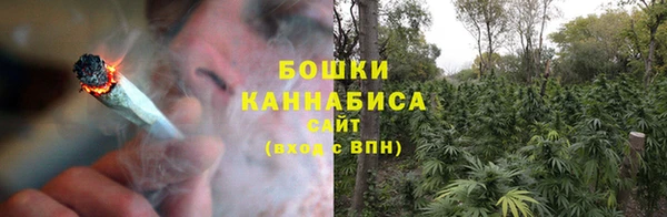 сатива Вязники