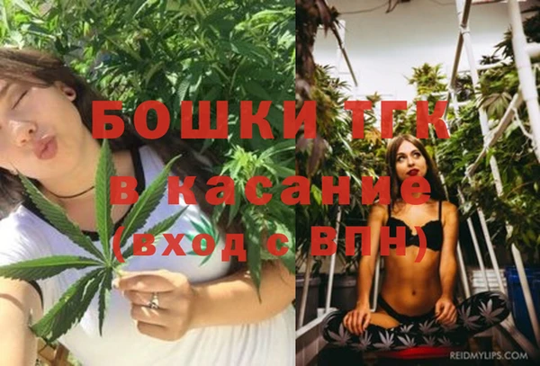 круглые Вяземский